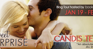 Sweet Surprise Candis Terry Blog Tour