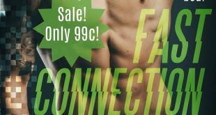 Fast Connection by Megan Erickson and Santino Hassell