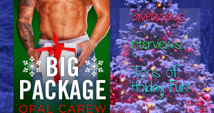 Big Package by Opal Carew